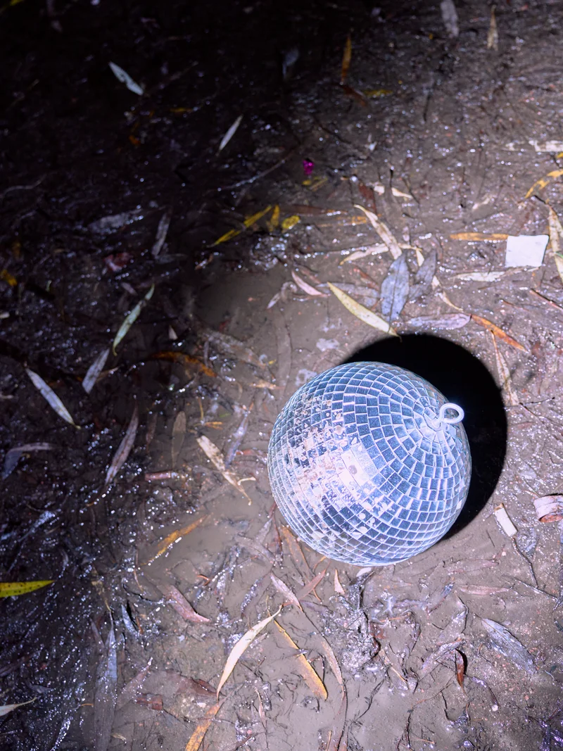 flash shine thrash 1