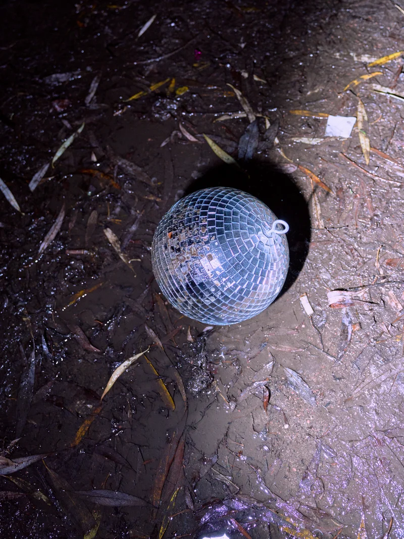 flash shine thrash 41